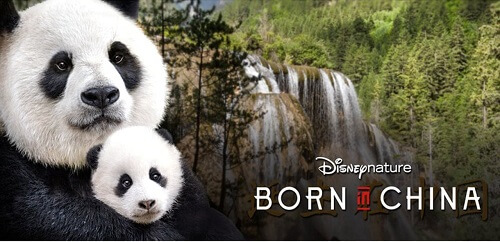 Born-In-China
