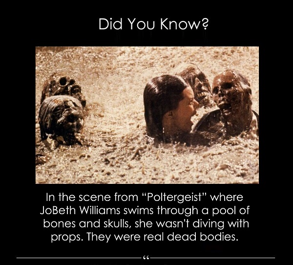 real skeletons on poltergeist