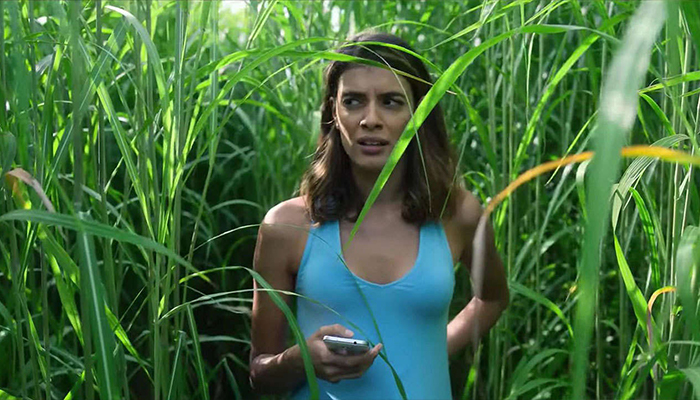 In the Tall Grass (2019)_