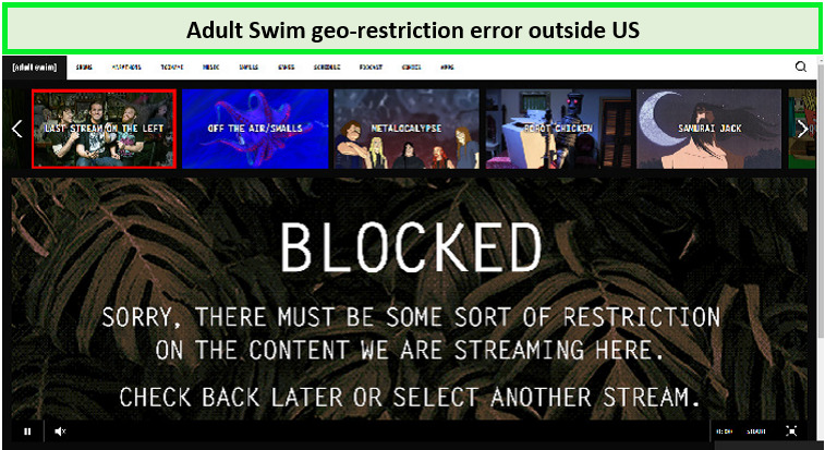 a-screenshot-of-Adult-swim-being-blocked-outside-USA