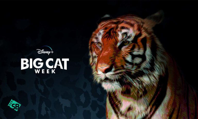 How to Watch Big Cat Week on Disney Plus Outside USA
