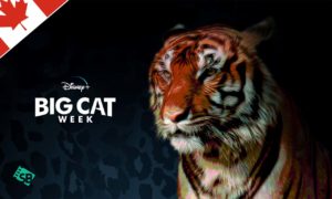 How to Watch Big Cat Week on Disney Plus in Canada