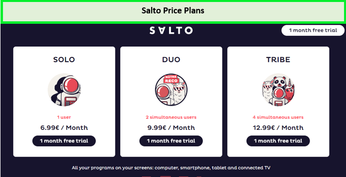 Salto-price-plan-outside-France