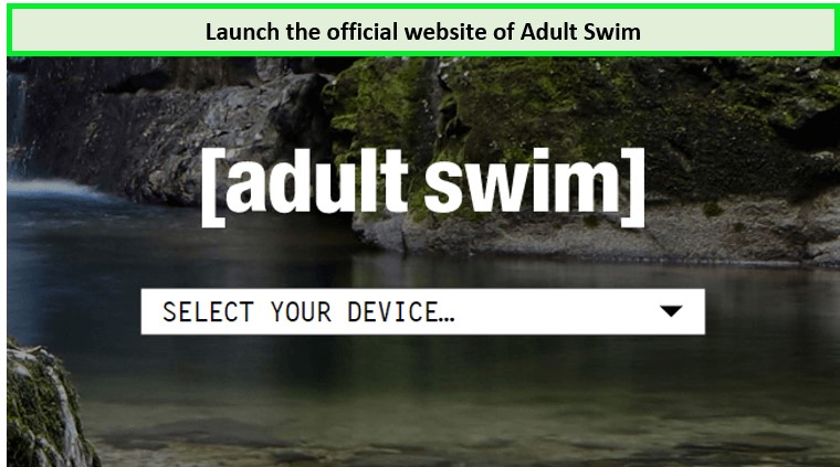 Watch-Adult-Swim-on-Roku-step-1