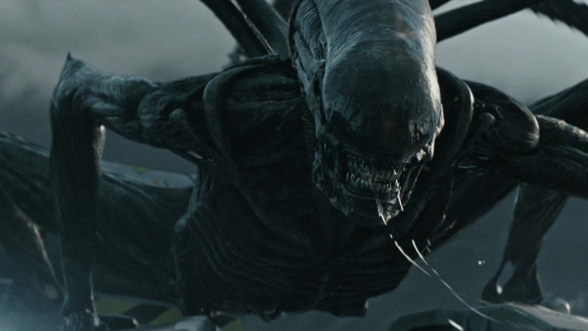 Alien-2017-in-Spain
