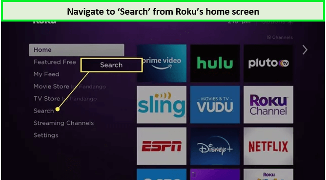 go-to-roku-search-in-Netherlands