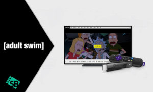 How To Watch Adult Swim On Roku Outside USA in 2023?