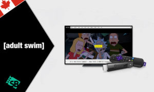 How To Watch Adult Swim On Roku outside Canada – Updated 2022