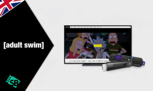 How To Watch Adult Swim On Roku outside UK In 2022 – Updated Guide