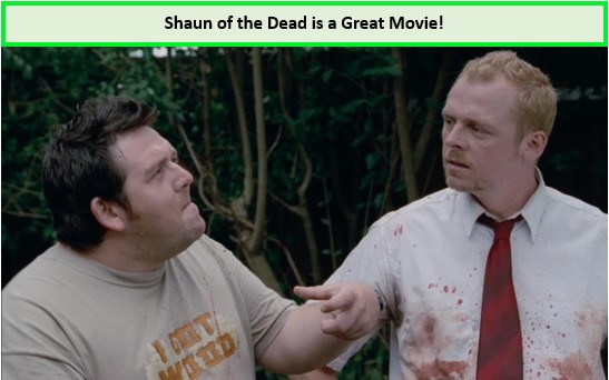 Shaun-of-the-Dead-in-France