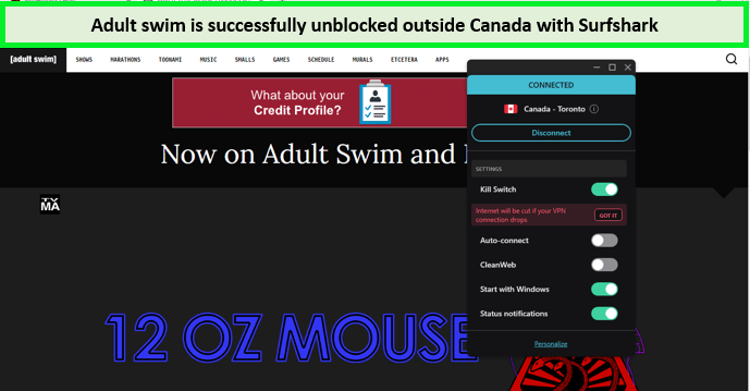 adult-swim-unblocked-via-surfshark-outside-Canada