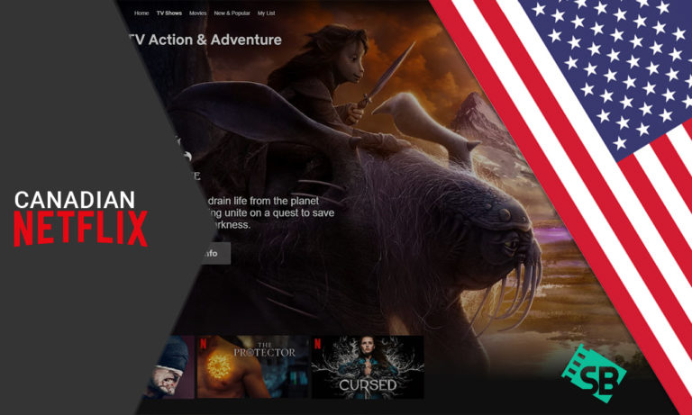 canadian-netflix-in-in-USA