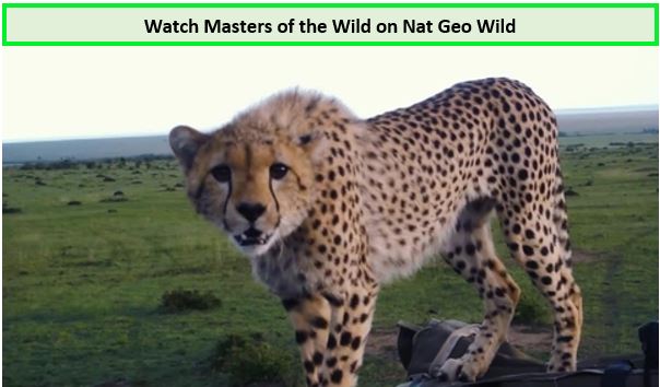 Masters-of-the-Wild-on-nat-geo-wild