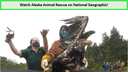 watch-alaska-animal-rescue-on-National-Geographic