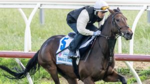 How to Watch Melbourne Cup 2022 in Canada