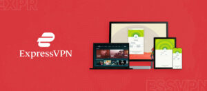 Recommended-VPN-to-Access-Criterion-Channel-in-South Korea