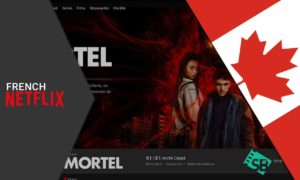 How To Watch French Netflix In Canada? [2022 Updated]