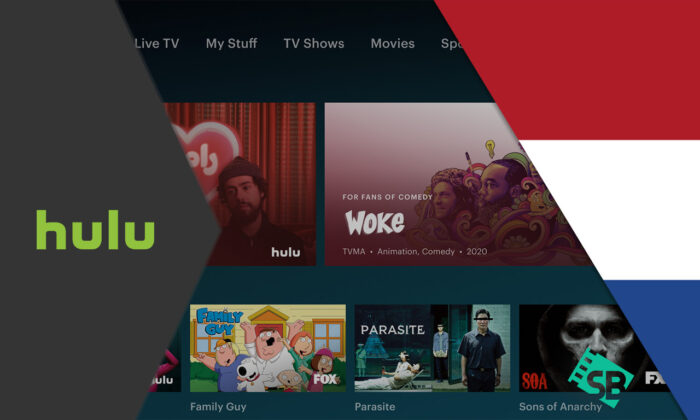 How To Watch Hulu In The Netherlands? [2023 Updated]