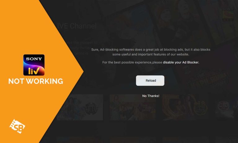 SonyLiv-Not-Working-in-France