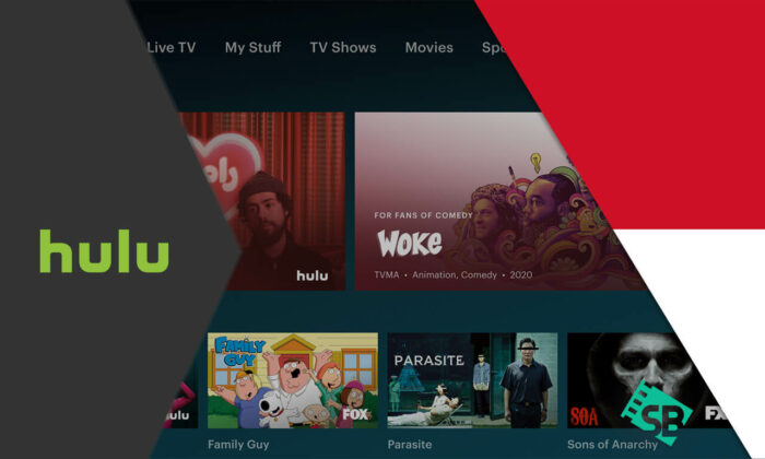 How To Watch Hulu in Indonesia? [2024 Updated Guide]