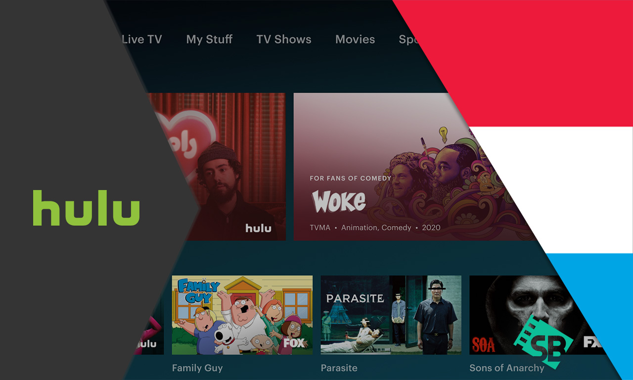 How to watch Hulu in Luxembourg? [2024 Updated Guide]