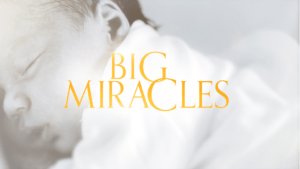 How to Watch Big Miracles in UK on 9Now