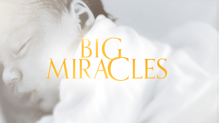 Watch Big Miracles Outside Australia on 9Now