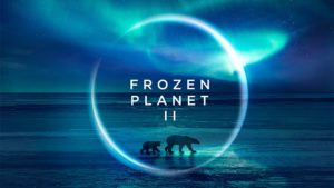 How to Watch Frozen Planet 2 Outside USA on AMC Plus