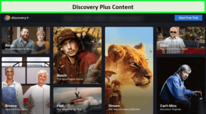 discovery-plus-content.
