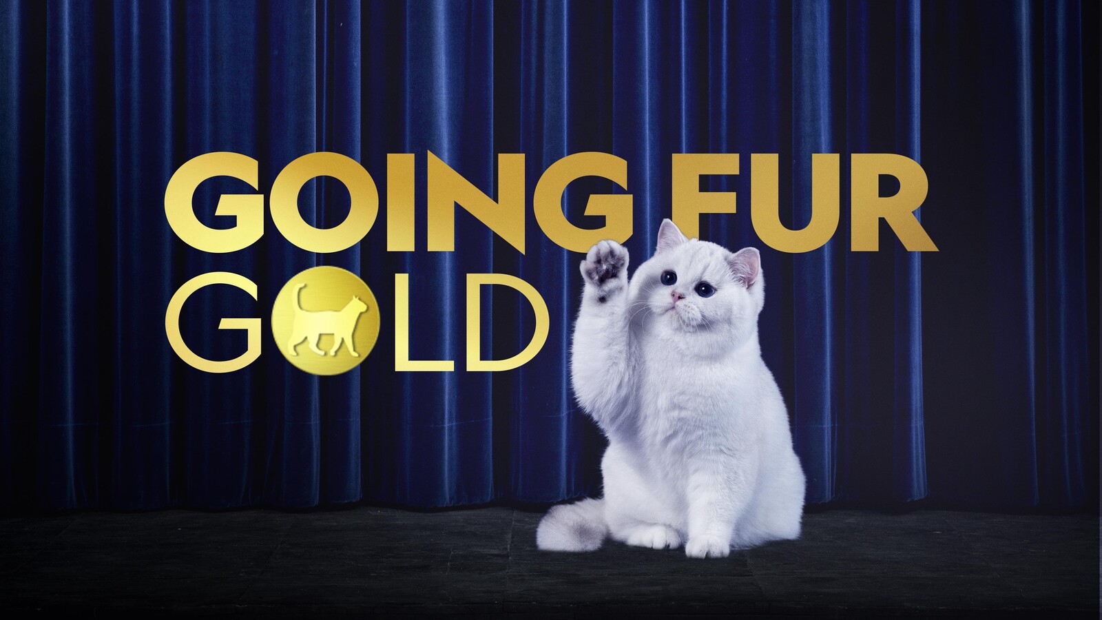 How to Watch Going Fur Gold in UK on Disney Plus