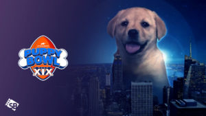 How to Watch Puppy Bowl XIX outside US on HBO Max