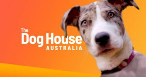 How to Watch The Dog House Australia Season 3 in US on Tenplay