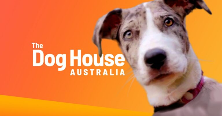 Watch The Dog House Australia Season 3 Outside Australia on Tenplay