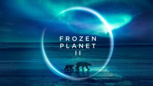 Watch Frozen Planet II in UK On 9Now