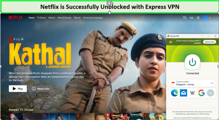 Netflix Singapore Successfully Unblocked in-Italy