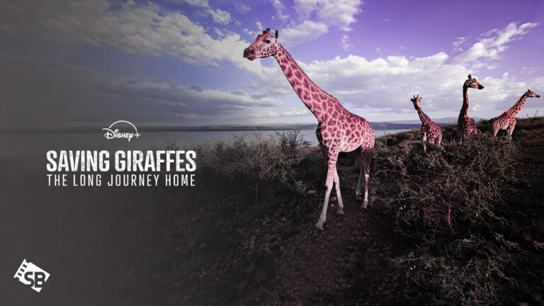 Watch Saving Giraffes The Long Journey Home in India