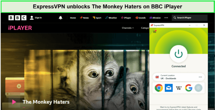 expressVPN-unblocks-the-monkey-haters-on-BBC-iPlayer-in-France