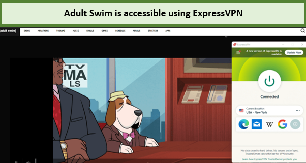 watched adult swim in australia using expresvpn