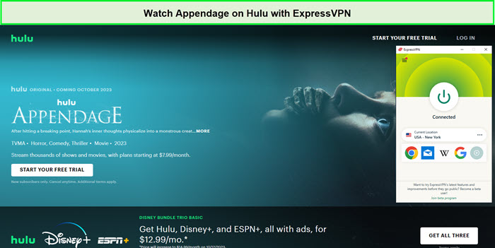 Watch-Appendage-in-New Zealand-on-Hulu-with-ExpressVPN