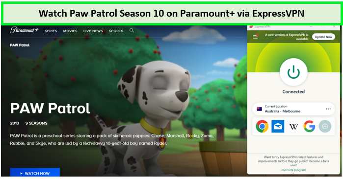 Watch-Paw-Patrol-in-New Zealand-on-Paramount-Plus-with-ExpressVPN 