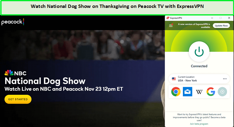 Watch-National-Dog-Show-on-Thanksgiving-winner-outside-USA-on-Peacock-TV-with-ExpressVPN