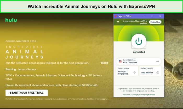 expressvpn-unblocks-hulu-for-the-incredible-animal-journeys-in-France 