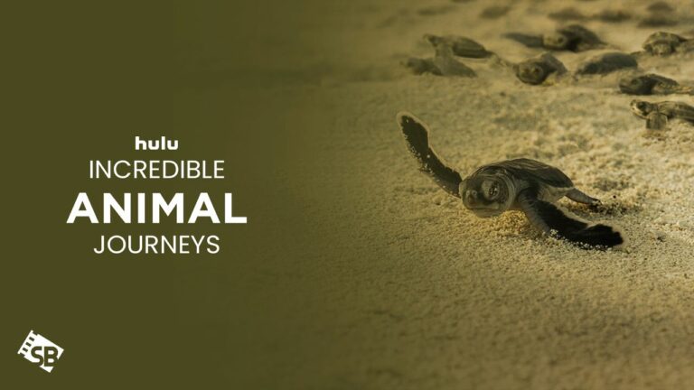 watch-incredible-animal-journeys-in-UAE-on-hulu