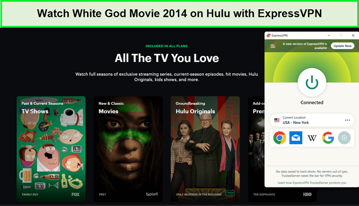 watch-white-god-movie-2014-on-hulu-in-South Korea-with-ExpressVPN