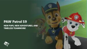 Paw Patrol Season 9 Review – New Challenges, New Friends, and Non-Stop Fun