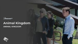 How to Watch Animal Kingdom in Japan  On Paramount Plus