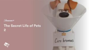 How to Watch The Secret Life of Pets 2 in India on Paramount Plus